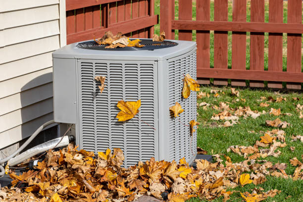 Best Best HVAC companies  in Tuscola, IL